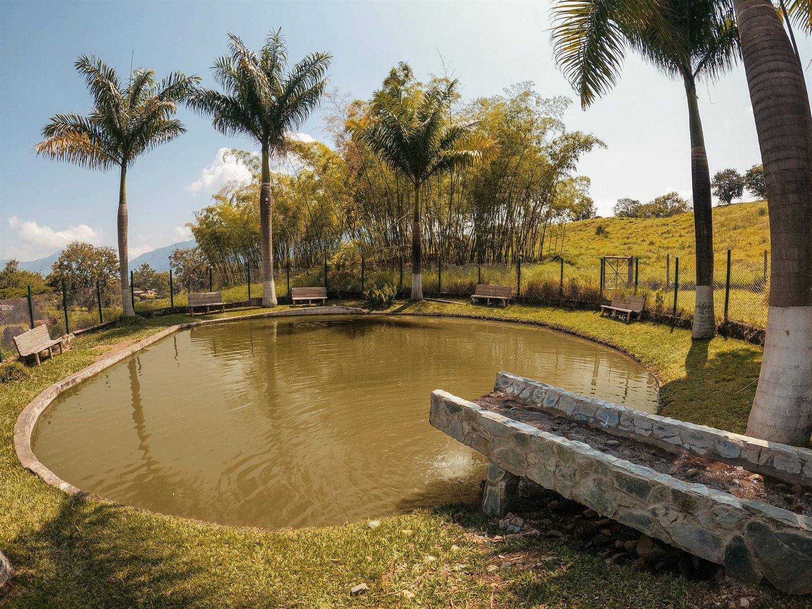 Lago de pesca del club